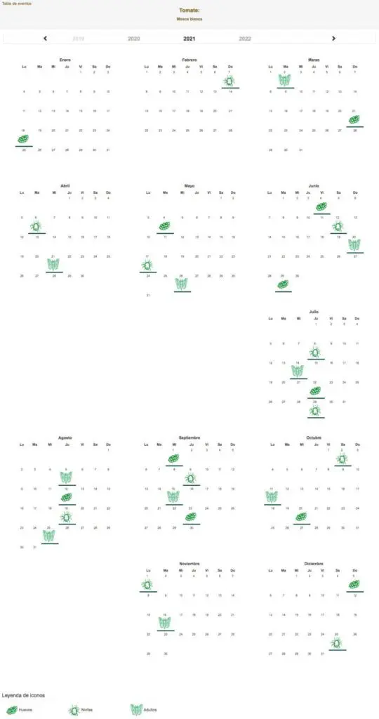Calendario de desarrollo biológico