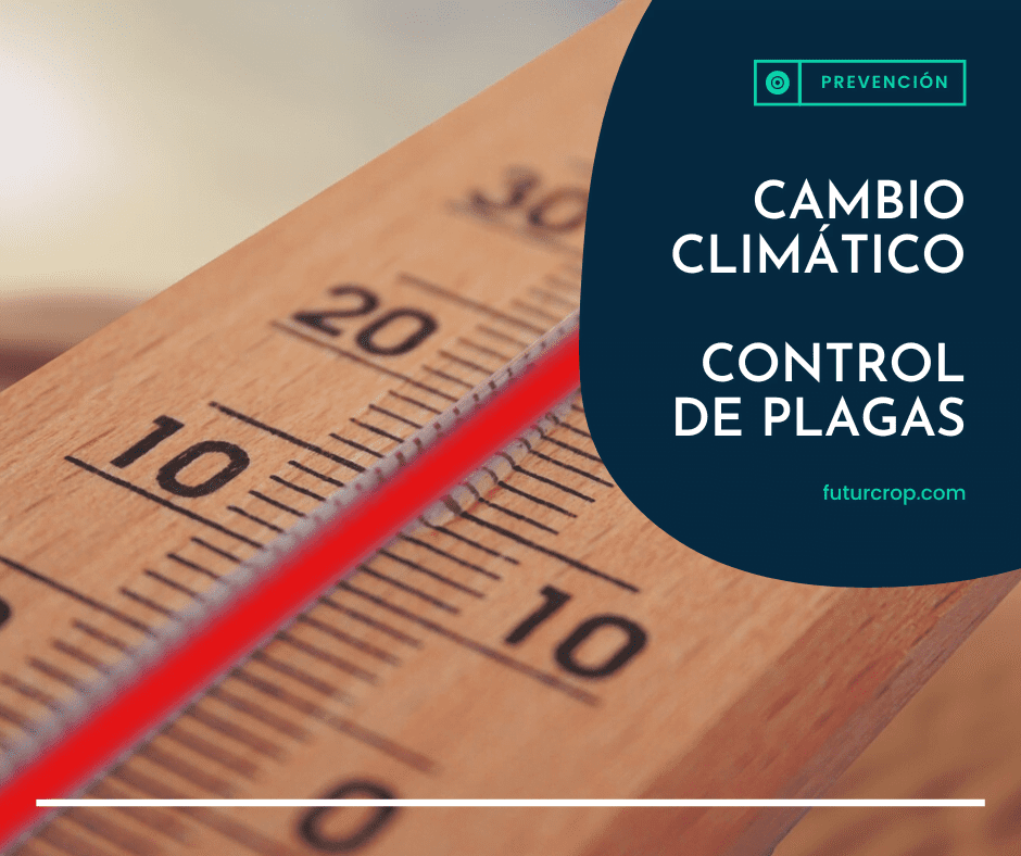 Ante el cambio climático, la prevención de plagas agrícolas como medio de control