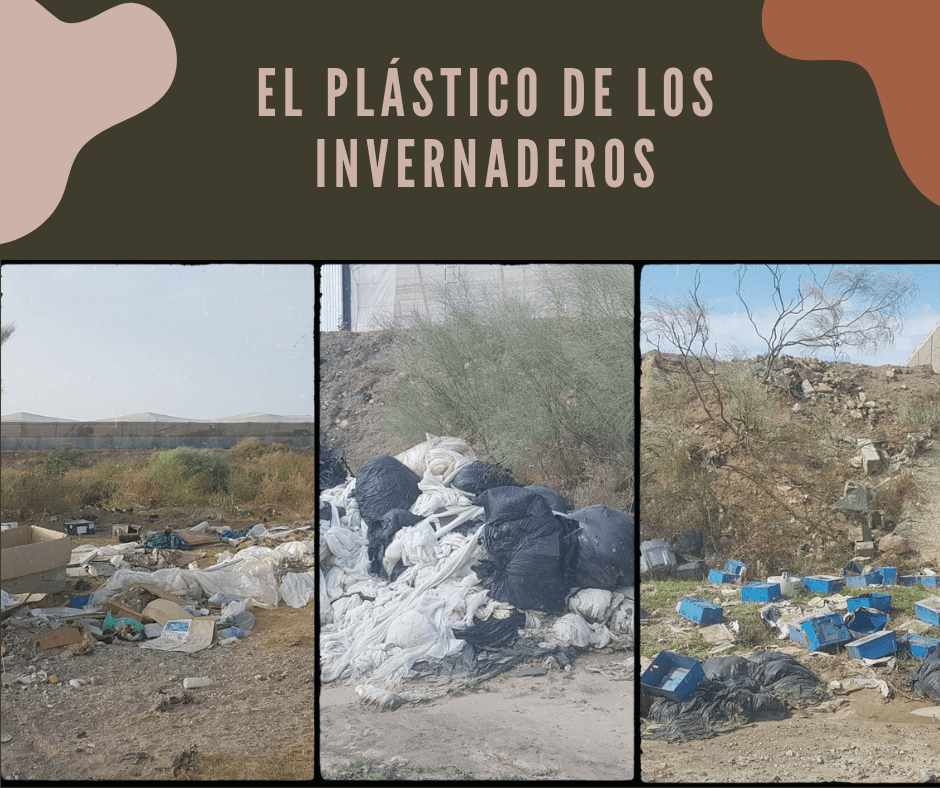 El uso del plástico en la agricultura y sus consecuencias en el medio ambiente