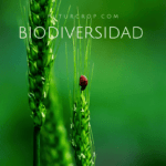 post biodiversidad