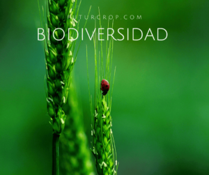 post biodiversidad