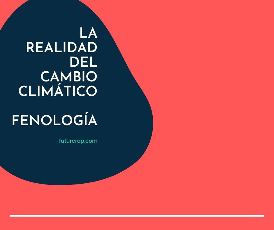 post cambio climático y plagas