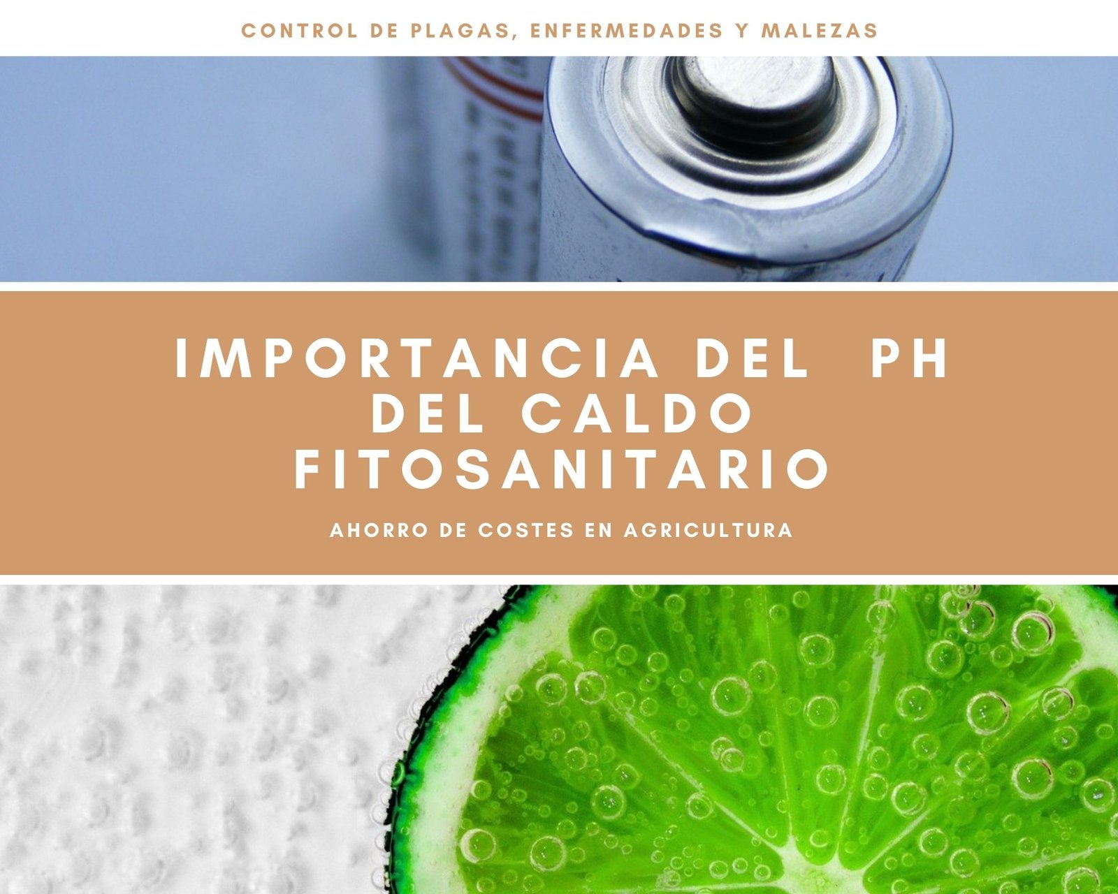 importancia del ph del caldo fitosanitario