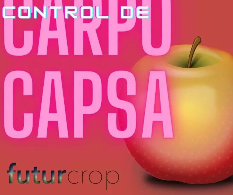 control de carpocapsa