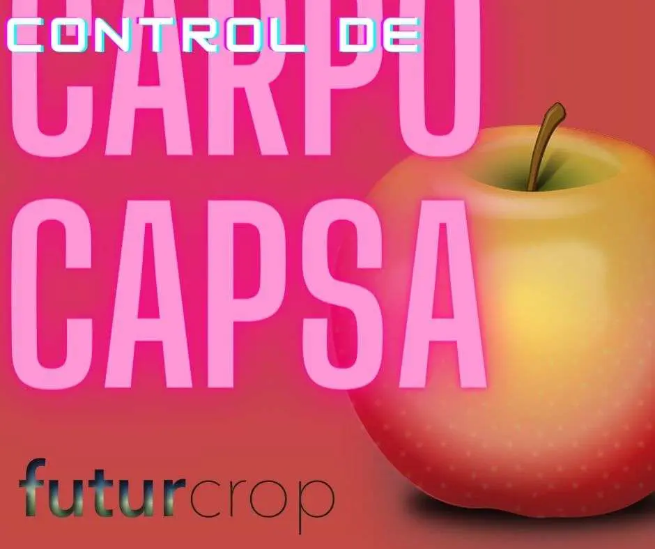 control de carpocapsa