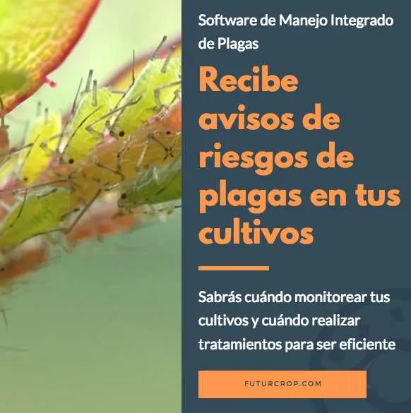 software de control de plagas