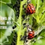 biological pest control