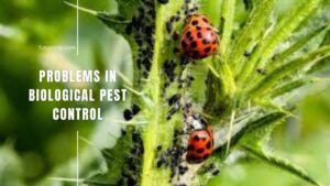 biological pest control