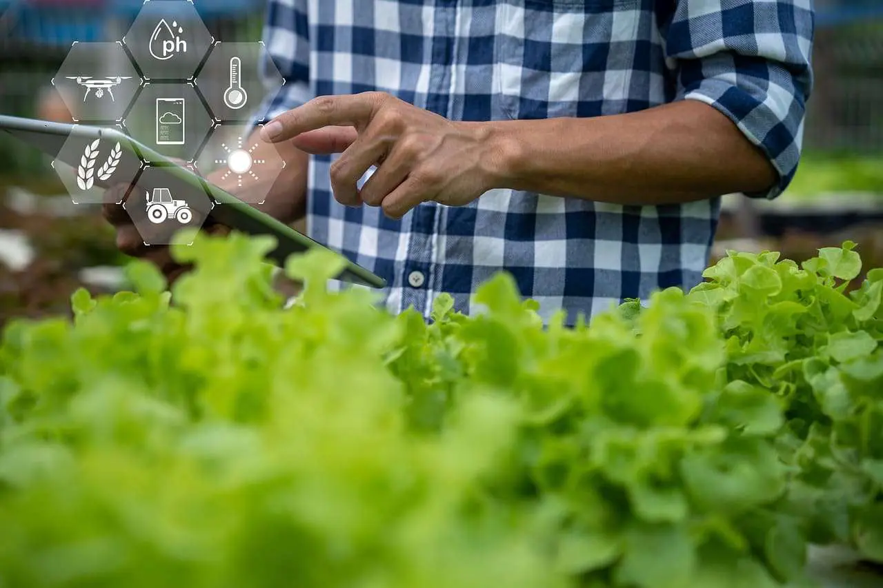 Agricultor inspeccionando cultivo - FuturCrop