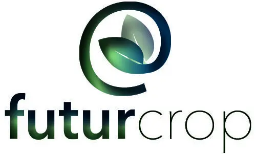 logo y legras rectangular
