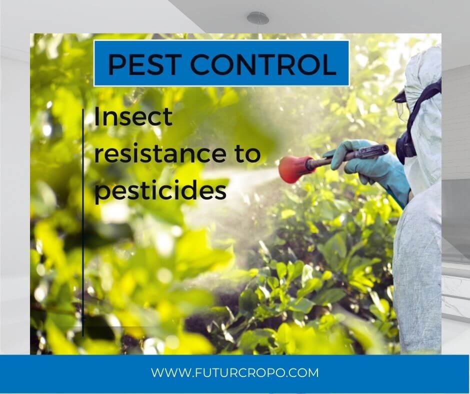 insect resistance to pesticides