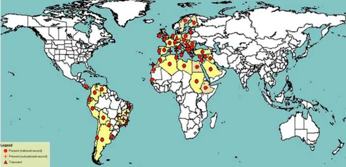 mapa tuta absoluta