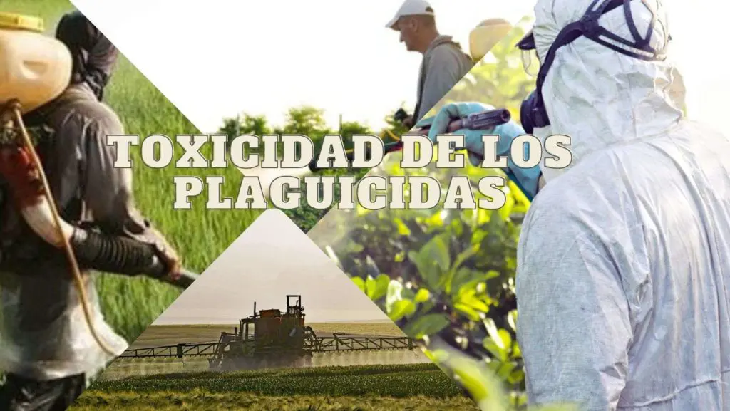 toxicidad de los plaguicidas