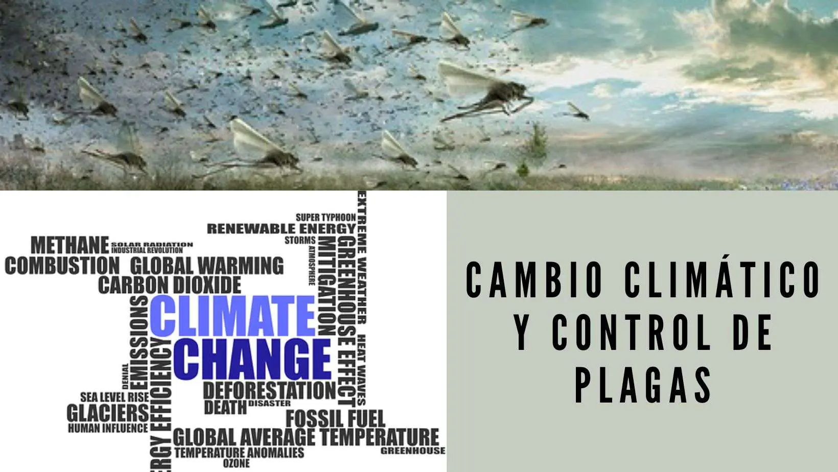 CAMBIO CLIMÁTICO