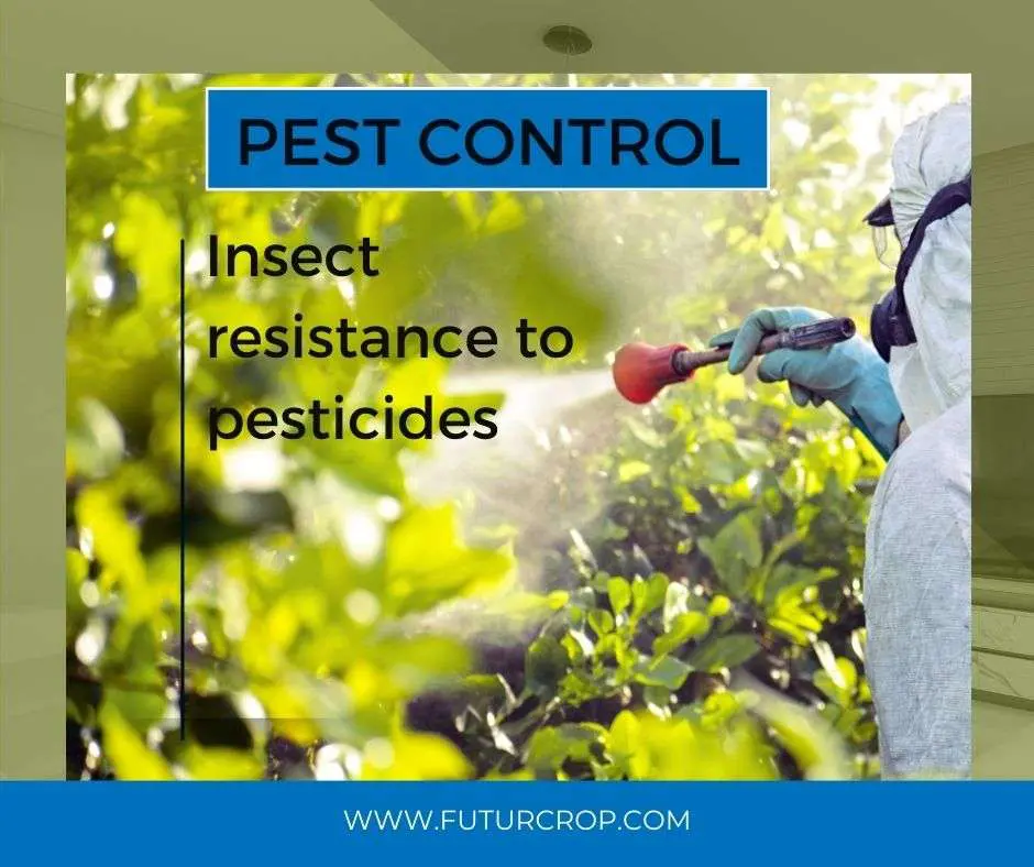 insect resistance to pesticide