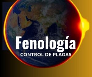 fenología y control de plagas
