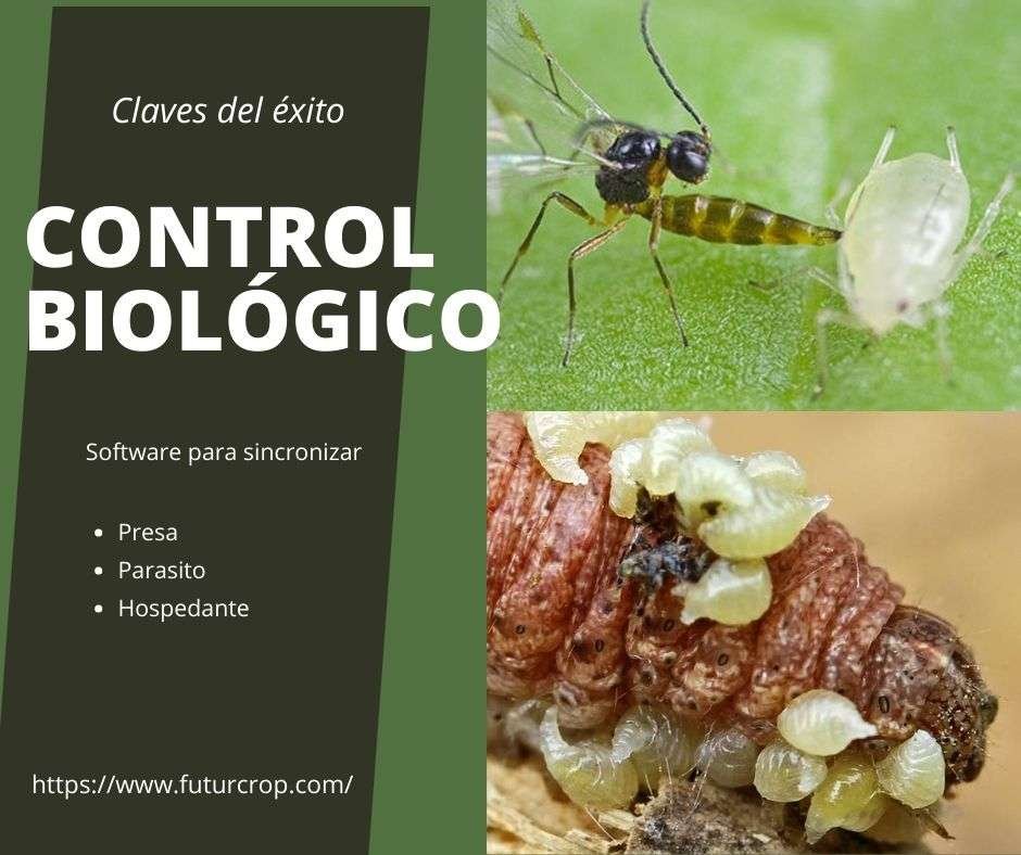 control biológico de plagas