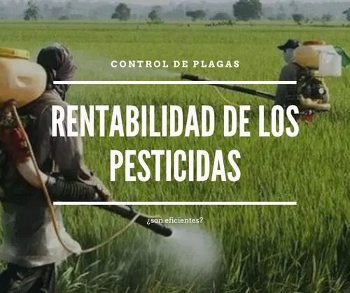 rentabilidad pesticidas