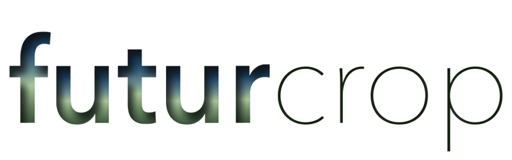 logo texto