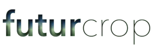 logo texto