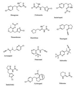 Chemical structures of Neonicotinoids