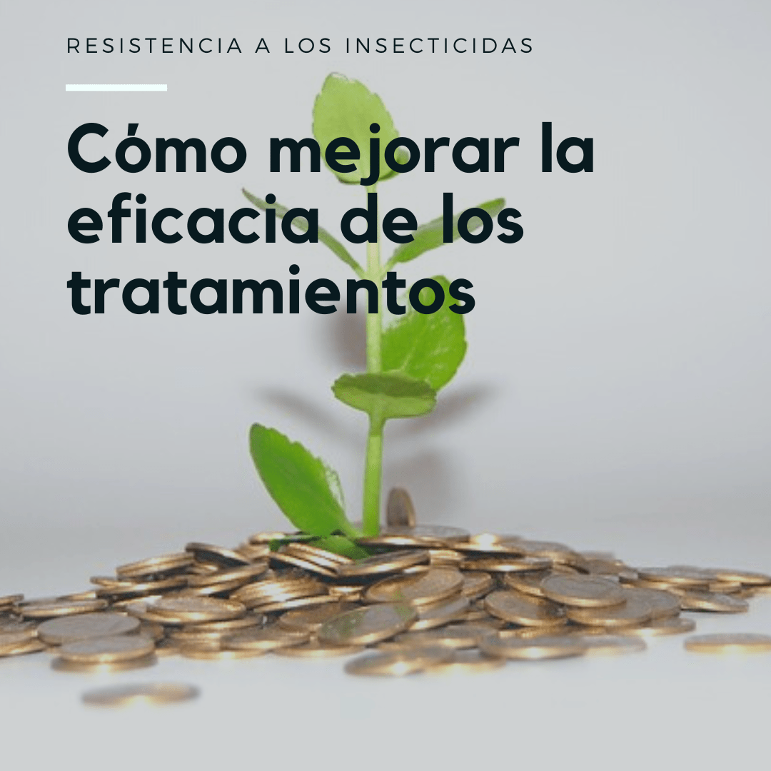 Cómo mejorar el control de plagas agrícolas