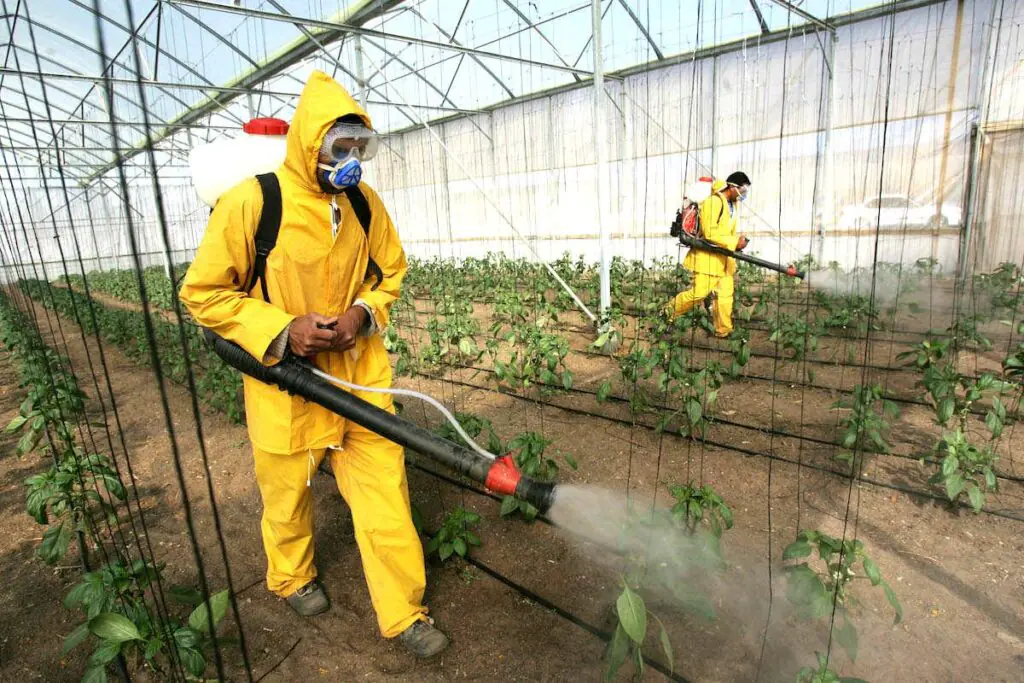 Pesticidas 1