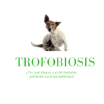 Trofobioisis