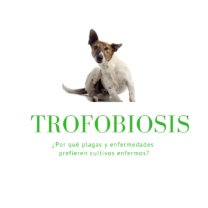 Trofobioisis