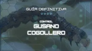 Gusano cogollero