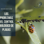 problemas control biológico plagas