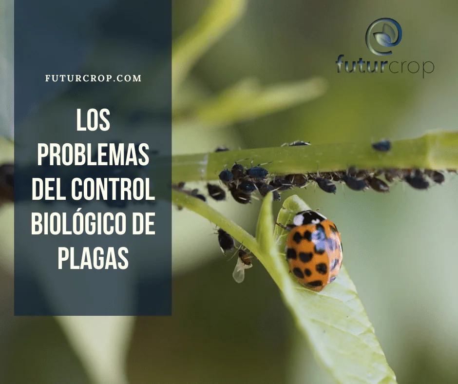 problemas control biológico plagas