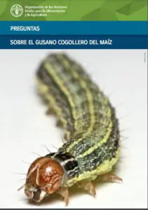 manual gusano cogollero2
