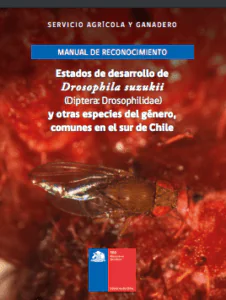 drosophila suzukii