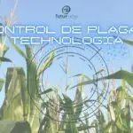control de plagas