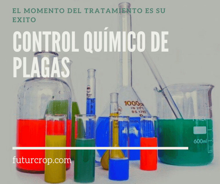 Información sobre el control químico de plagas