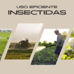 uso de insecticidas