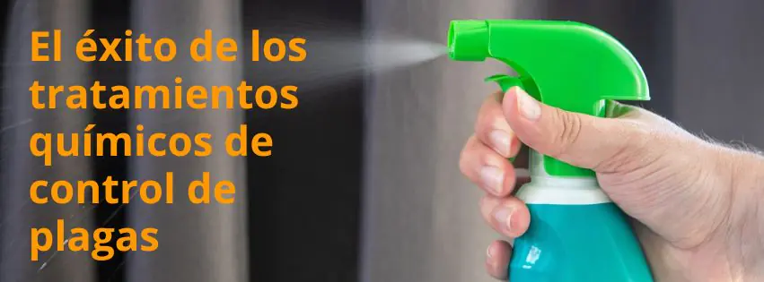 El éxito de los tratamientos químicos de control de plagas