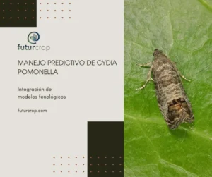 control preventivo de cydida pomonella