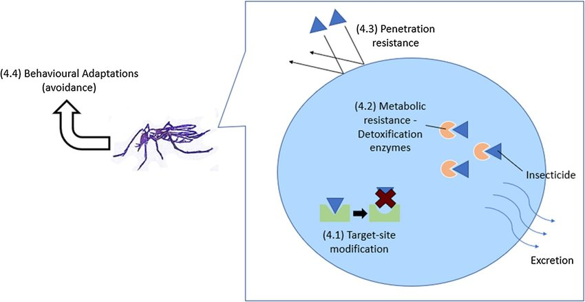 resistencia a insecticidas