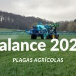 Balance plagas agricolas España 2025