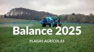 Balance plagas agricolas España 2025