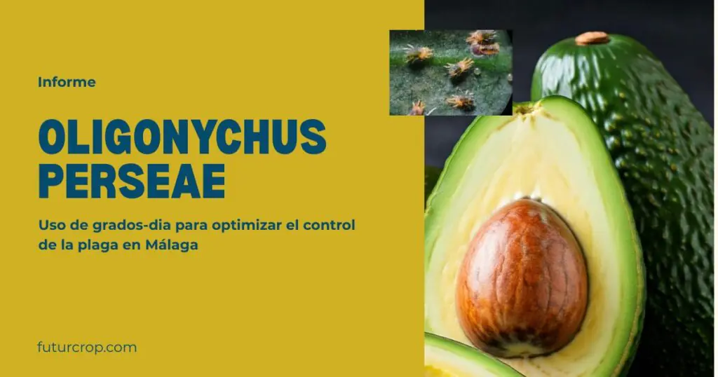 portada post