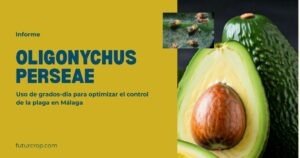 portada post