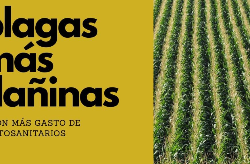 ¿Cuáles son las Plagas que Más Gasto Fitosanitario Generan?