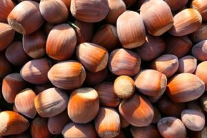 Plagas de frutos secos