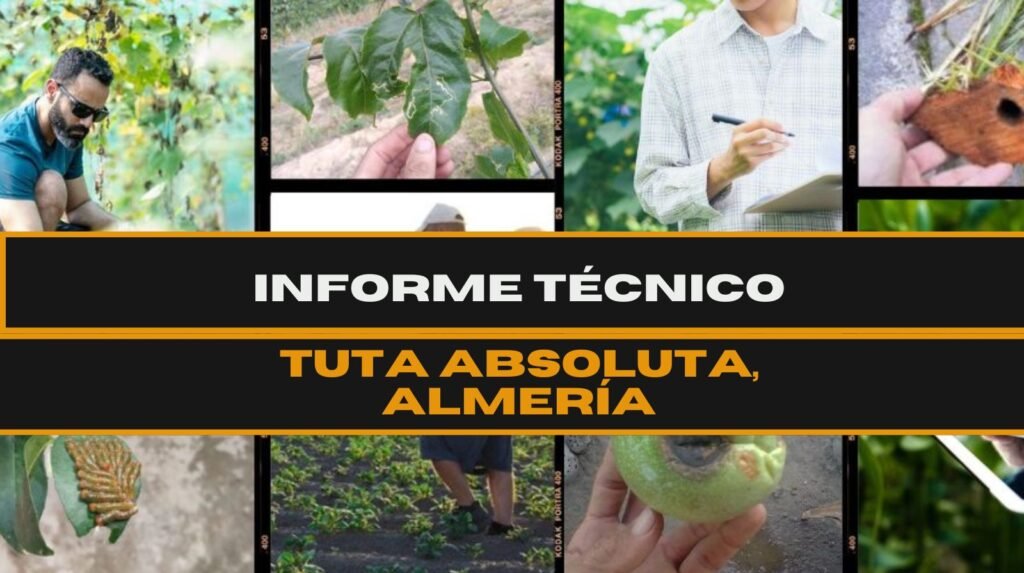 Informe técnico futurcrop
