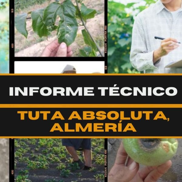 Informe técnico futurcrop