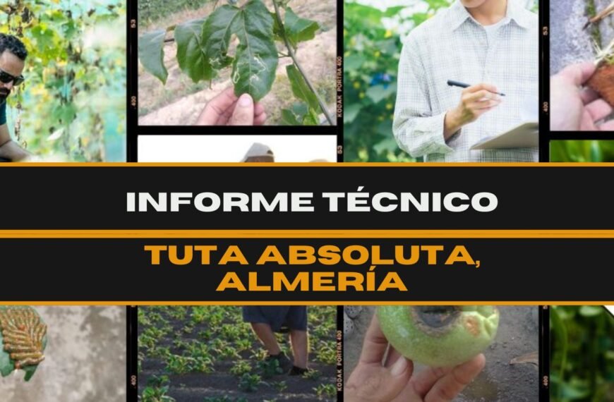 Informe técnico futurcrop