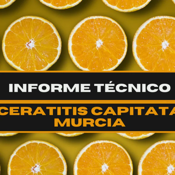 Informe técnico | Evaluación de la aplicación de FuturCrop en la determinación de la estrategia de control de Ceratitis capitata (mosca del mediterráneo) para el control de Ceratitis capitata en la región de Murcia, 2021